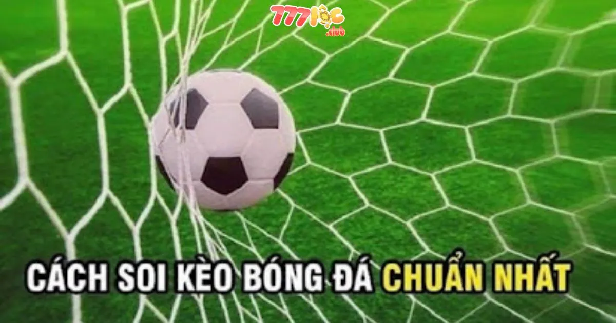 Nắm Rõ Các Loại Kèo